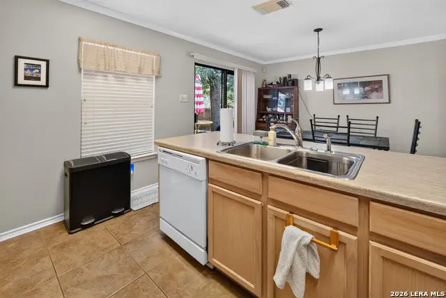 3335 Flamingo Basin, San Antonio, TX 78247 - #3