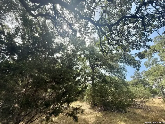 102 Denson Belk, Blanco, TX 78606 - #2