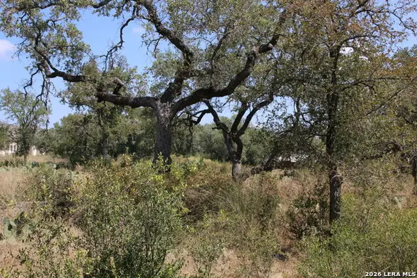 TBD Stone Loop, Castroville, TX 78009