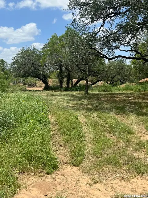 946 County Road 2863, Bigfoot, TX 78006