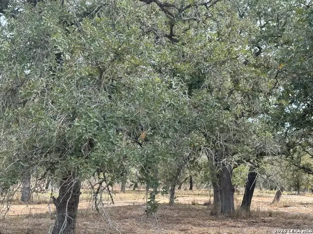 190 Deer Park Rd., La Vernia, TX 78121 - #1
