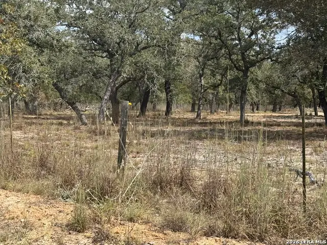 190 Deer Park Rd., La Vernia, TX 78121 - #3