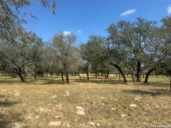 1600 County Road 770, Natalia, TX 78059