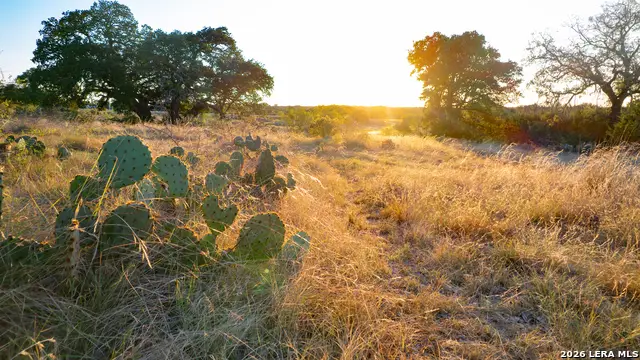 209 Rocky Hollow Rd, San Saba, TX 76877 - #2
