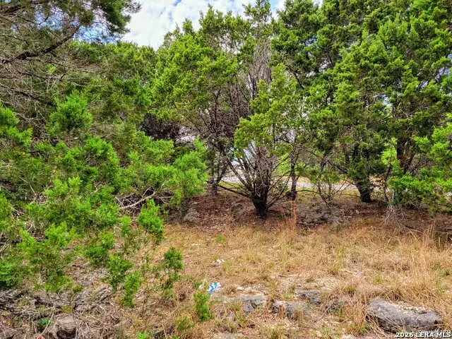 1530 Laurie Dr, Canyon Lake, TX 78133 - #3