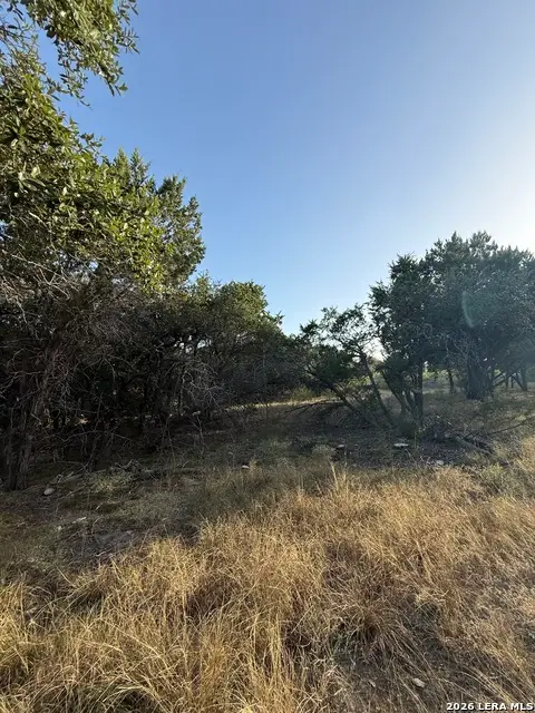 247 Restless Wind, Spring Branch, TX 78070 - #2