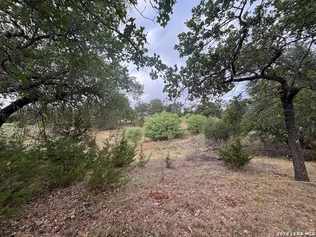 801 Orchard Park Blvd, Medina, TX 78055 - #3