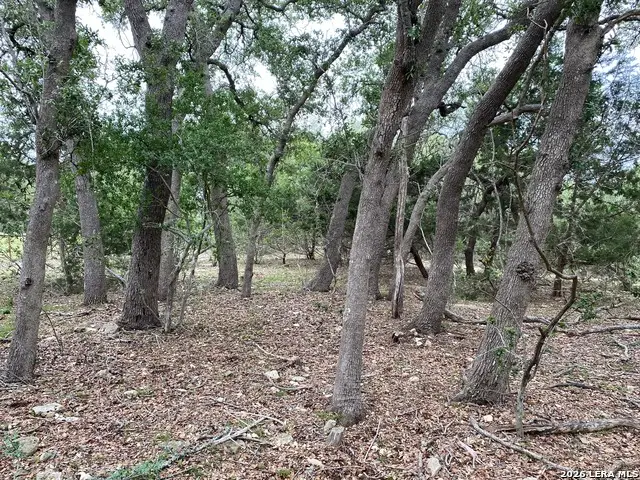 14 Rust Ln, Boerne, TX 78006 - #3