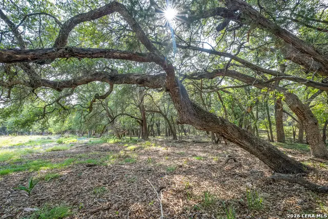 9918 Kopplin Rd, New Braunfels, TX 78132 - #1