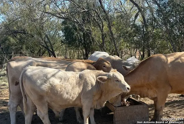 000 Fm 1346, St Hedwig, TX 78152