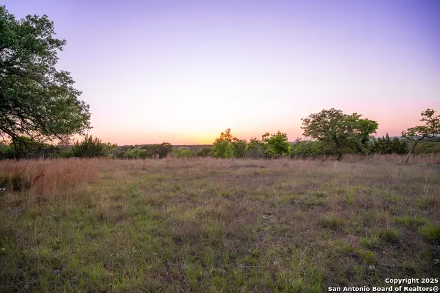 LOT 31 Shady Hollow, Blanco, TX 78606 - #1