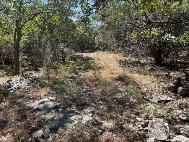 550 Misty Gln, Canyon Lake, TX 78133 - #3