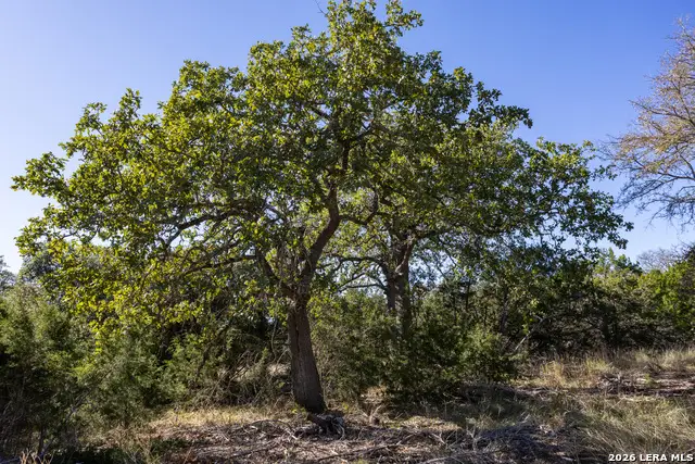 BLOCK 3, LOT 6 Easy Money, Boerne, TX 78006 - #3