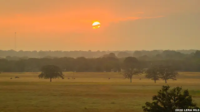 TBD 113 ACRES County Road 423, Harwood, TX 78959 - #1