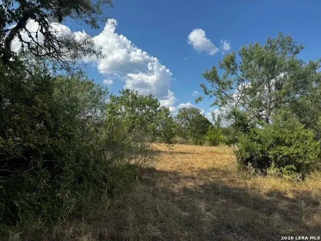 381 Lakeview, New Braunfels, TX 78130 - #2
