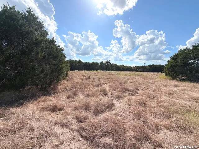 LOT 46 Riparian Elm Rd, Bertram, TX 78605 - #2