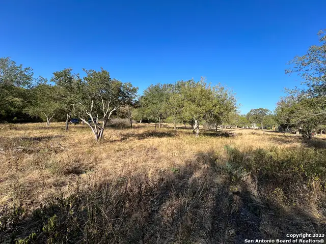 6519 Putman Pass, San Antonio, TX 78233 - #1