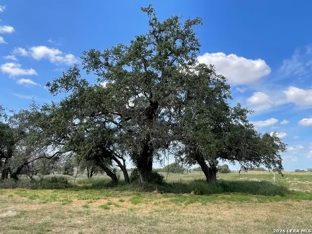 275 County Road 331, Floresville, TX 78114 - #1