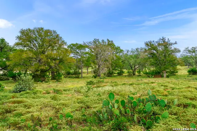 322 Axis Circle, Fredericksburg, TX 78624 - #2