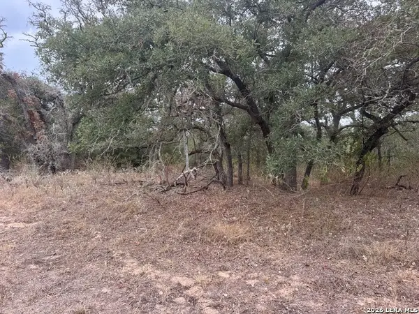 133 White Horse Ln, Stockdale, TX 78160