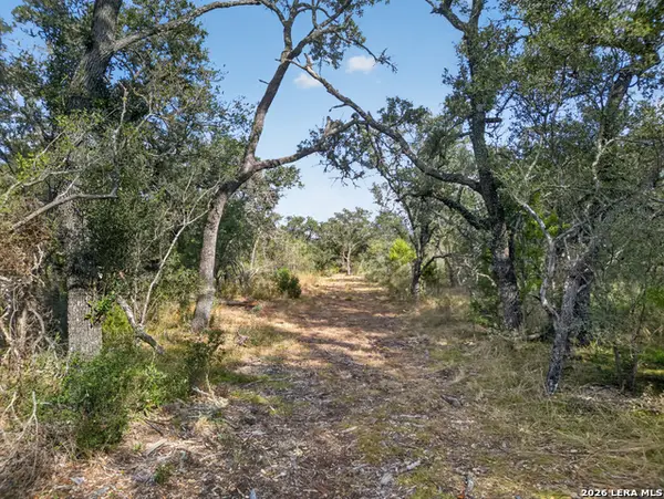 LOTS 19 & 20 1796 Ranch, Dhanis, TX 78850