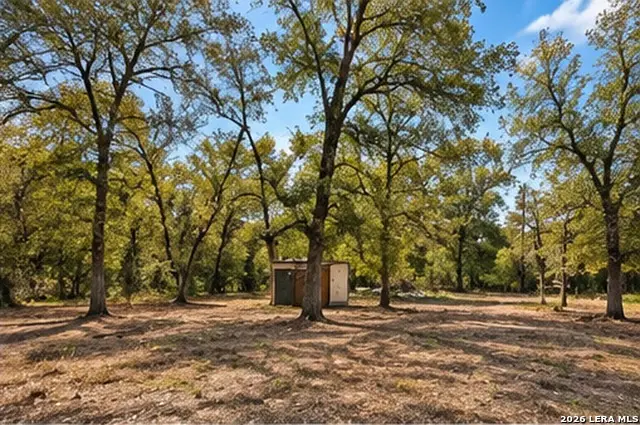 123 Oak Forest Ct, Cedar Creek, TX 78612 - #3