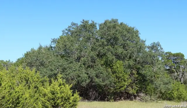 TBD 50 ACRES Wharton Dock Rd, Bandera, TX 78003 - #1
