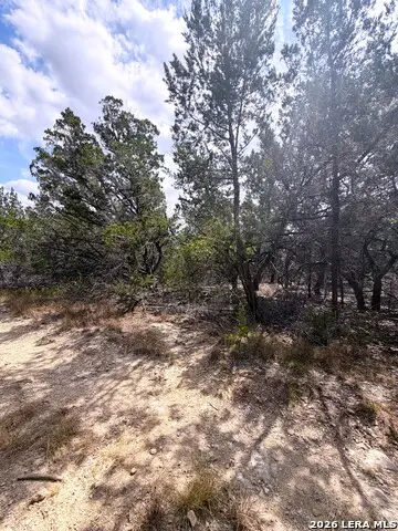 7 San Antonio, Wimberley, TX 78676 - #2