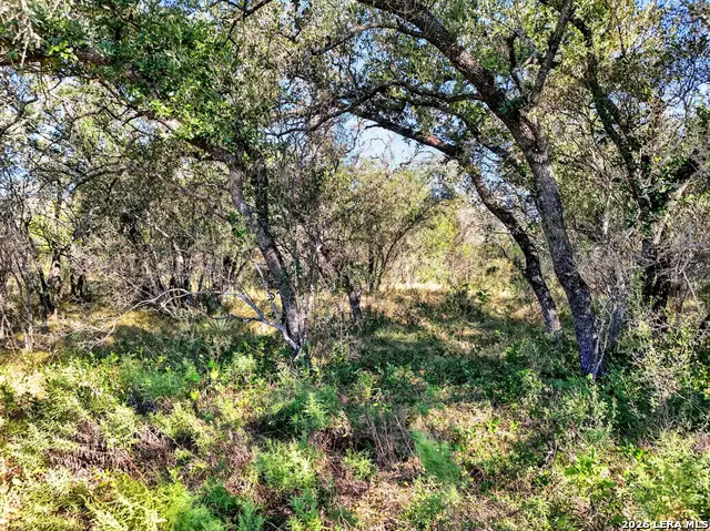 TRACT 18 Fm 1796, Dhanis, TX 78850 - #3