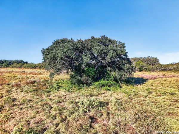LOT 134 Fm 1796, Dhanis, TX 78850