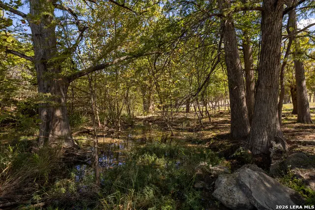 LOT 21 Tbd Canyon Terrace, Canyon Lake, TX 78133 - #3