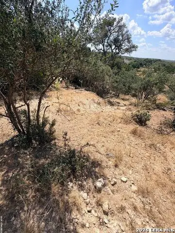 463 Lantana Mesa, Spring Branch, TX 78070 - #1