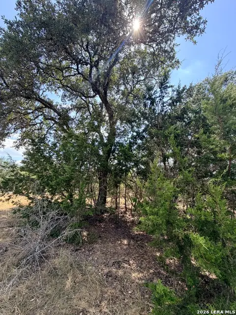 463 Lantana Mesa, Spring Branch, TX 78070 - #3