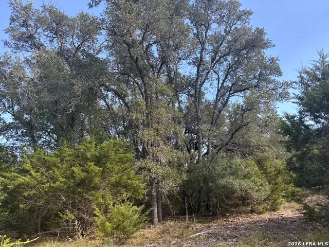 170 Lariat Trace, Bandera, TX 78003 - #3