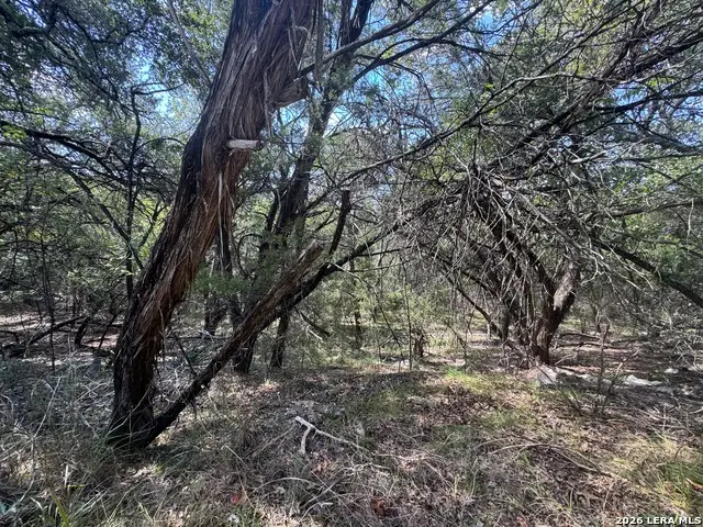 243 W Slope Trl, Lakehills, TX 78063 - #1
