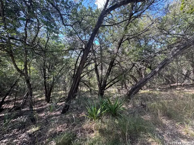 243 W Slope Trl, Lakehills, TX 78063 - #3