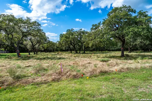23407 Osceola Blf, San Antonio, TX 78261 - #3