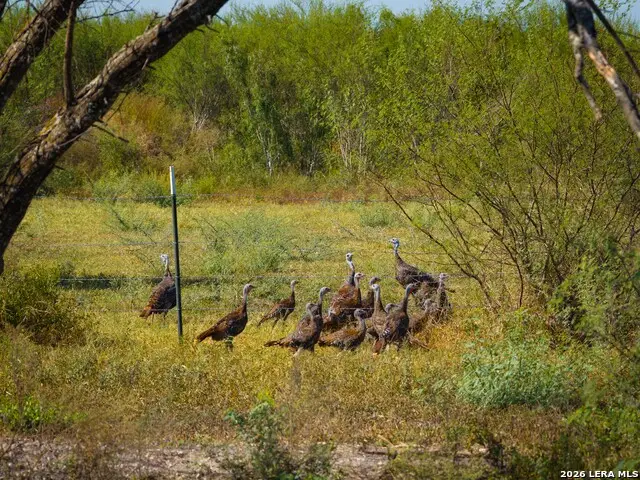 000 Cr 341, Beeville, TX 78102 - #1