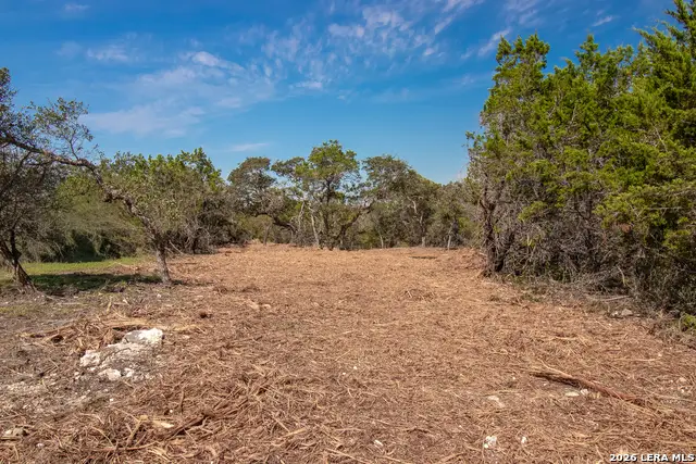 345 Horseshoe Trak, Spring Branch, TX 78070 - #2