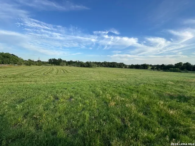 TRACT 6 George Wachel Rd, Bremond, TX 76629 - #3