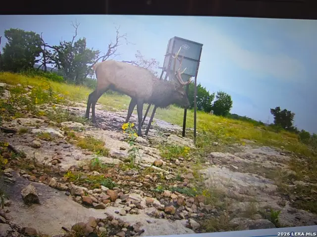 TBD Sd 52800, Rocksprings, TX 78880 - #2