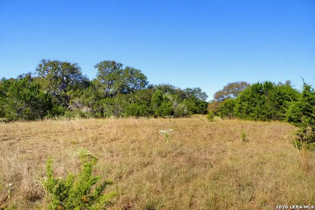 25.11 ACRES Bentwood Drive, Boerne, TX 78006 - #3