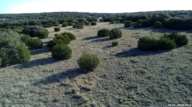 6544 Antler Dr, Fort McKavett, TX 76841 - #2