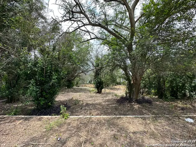 139 Anderson Ave, San Antonio, TX 78203 - #3
