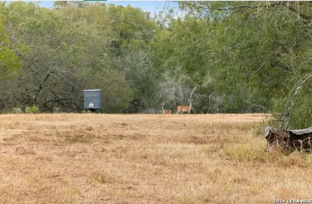 000 Cr 171, Nixon, TX 78140 - #1