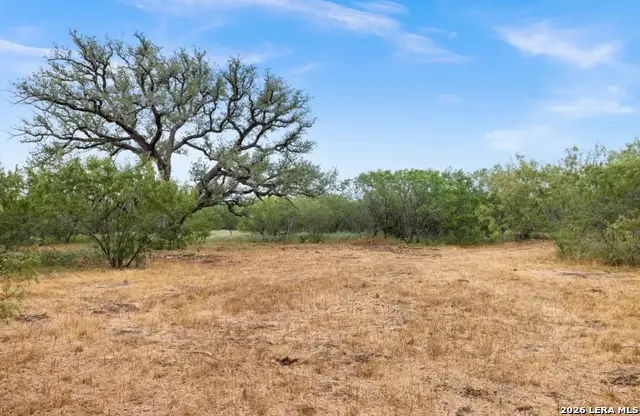 000 Cr 171, Nixon, TX 78140 - #3