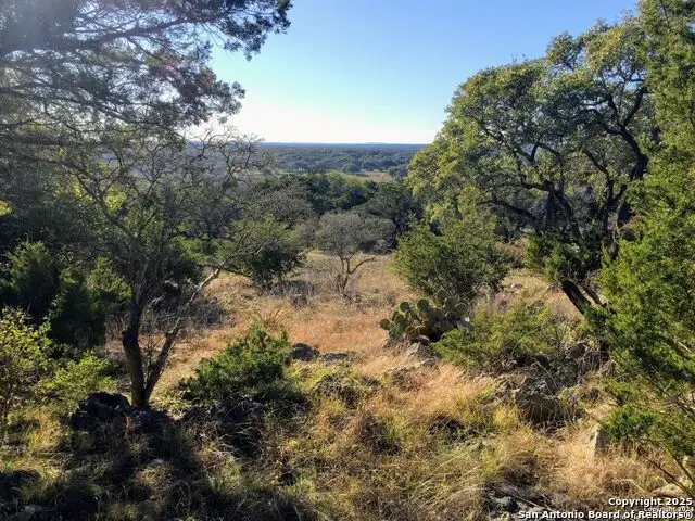 449 Coyote Trail, Spring Branch, TX 78070 - #1