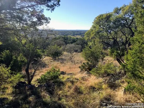 449 Coyote Trail, Spring Branch, TX 78070