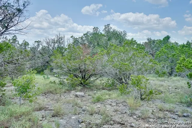 449 Coyote Trail, Spring Branch, TX 78070 - #3