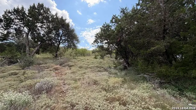 234 Longwood, New Braunfels, TX 78132 - #1